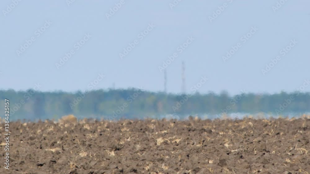 Mirage, heat haze, air shimmer in extreme scorching heat. Plowed farmland and protective forest on horizon. Floating and shimmering video with soft focus. Global warming and climate change concept