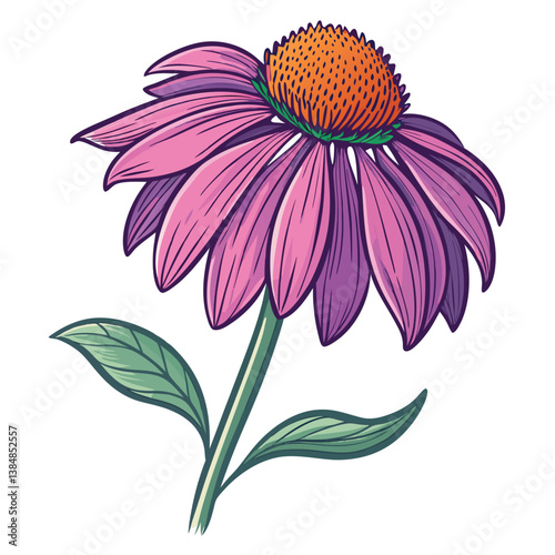 Create a bold, vibrant vector illustration of an Echinacea flower using thick, expressive strokes. Emphasize texture and color variation.
