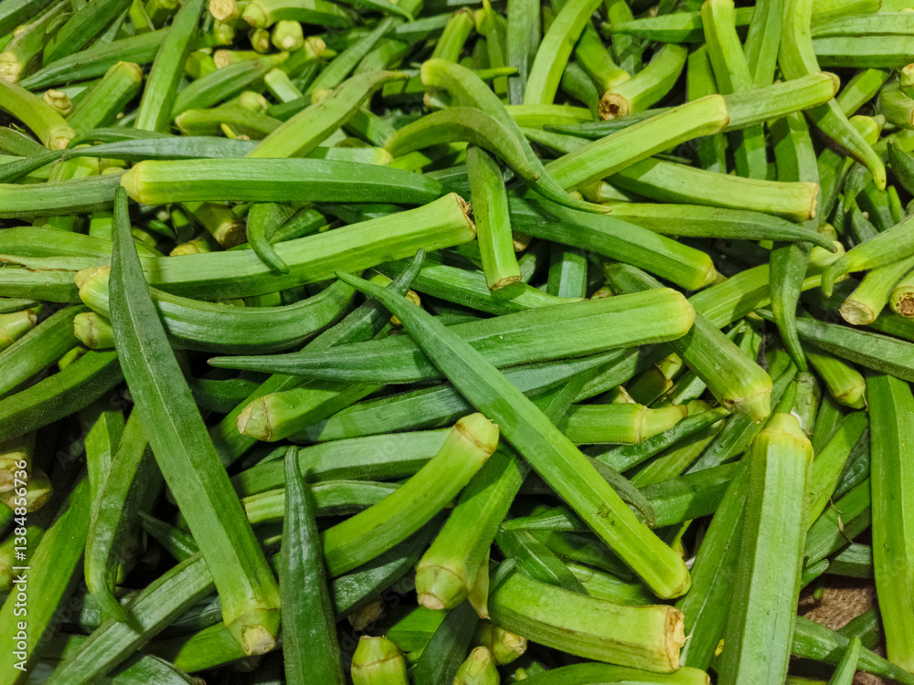 fresh Okra, Baamya (Syriac), Abelmoschus esculentus, lady's fingers, ladies finger is a flowering plant in the mallow family native to East Africa. fresh okra, green okra, ladyfingers. organic foods. fresh Okra, Baamya (Syriac), Abelmoschus esculentus, lady's fingers, ladies finger is a flowering plant in the mallow family native to East Africa. fresh okra, green okra, ladyfingers. organic foods.
