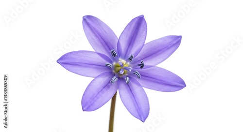 Periwinkle's Gentle Embrace AI Generated