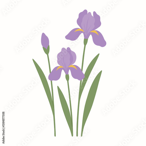 Purple Iris Flowers in a Minimalist Style on a Light Background  