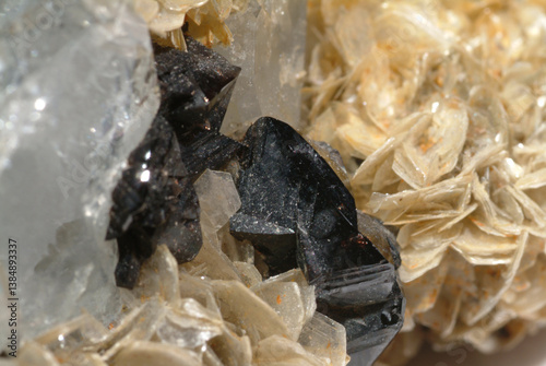 Billede på lærred Mineral Beryl, Varient Aquamarine, Cassiterite with tabular Beryl, muscovite and albite