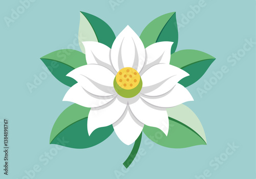 Elegant White Lotus Flower with Green Leaves, Nature Illustration
