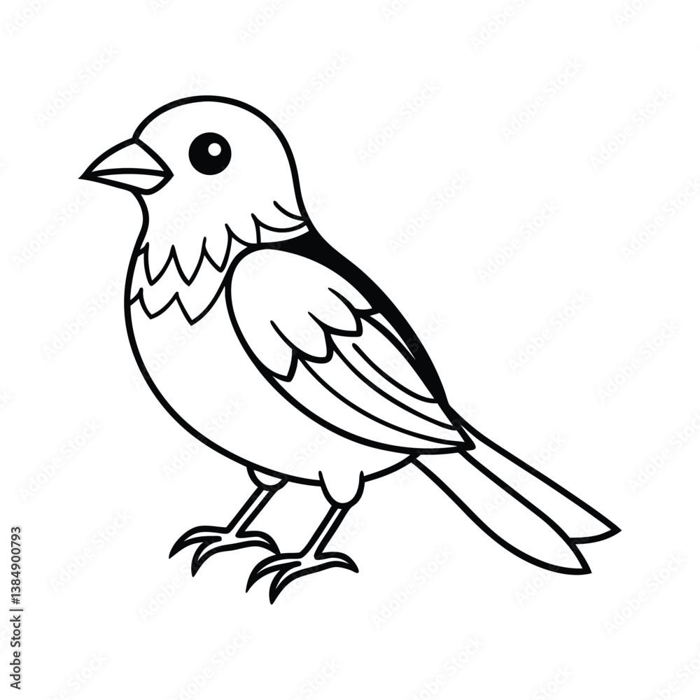 Fototapeta premium vector illustration of a bird line art 