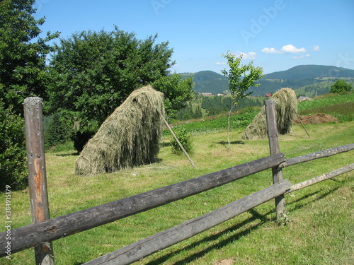 Wooden fence and stacks of fresh hay in the mountains in spring