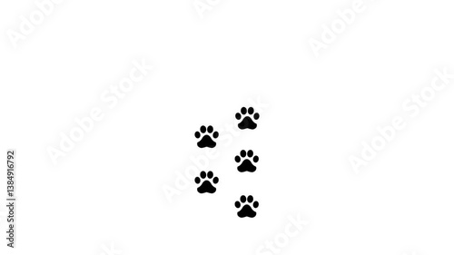 Animal foot print icon on white background .4k motion video