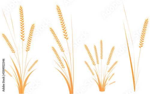 ears of wheat several types on a white background. bright yellow-orange wheat ears with foliage.  vector
