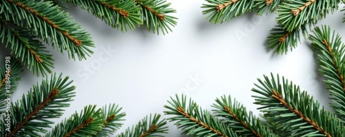 Freshly cut pine Christmas tree branches with needles,  christmas,  branches, pine