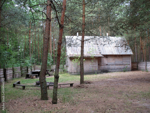 Wooden hunting house in a dense pine forest