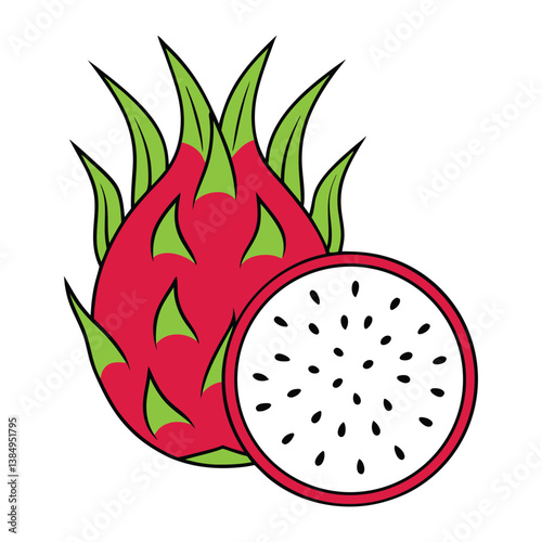 Dragon fruit vector illustration
