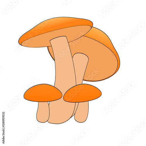 vector illustration of mushroom