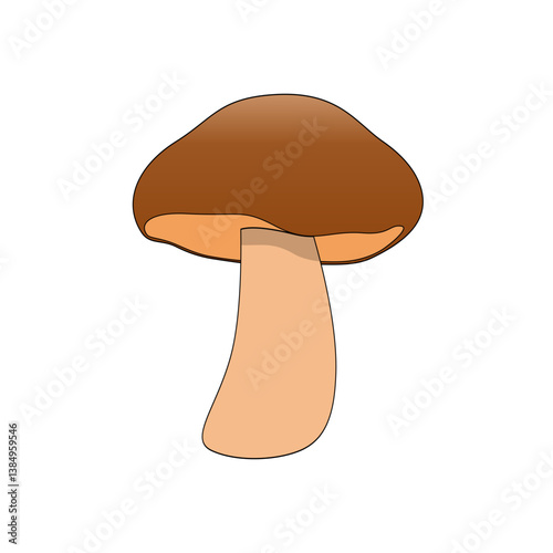 vector illustration of mushroom