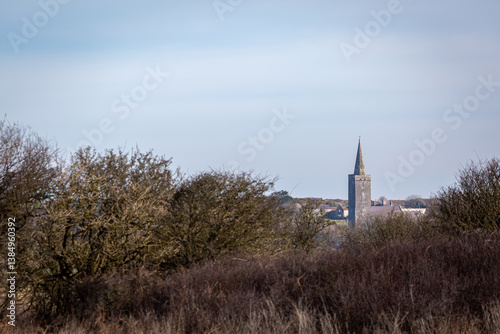 View of St. Mary's Church from a distance, Image shows the church spire through a break in some bushes photo