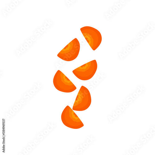 Carrots slices vector illustration