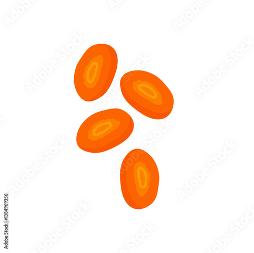 Carrots slices vector illustration