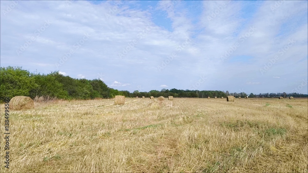 Fototapeta premium Straw Stacked On Field During Sunny Day. Closeup hay bales in the field During Sunny Day