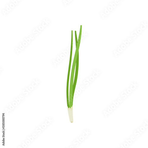 Garlic chives leaf. Healthy vegetarian food. Flat vector illustration.