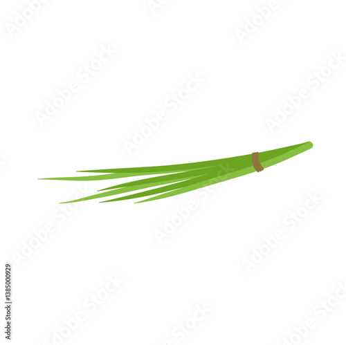Garlic chives leaf. Healthy vegetarian food. Flat vector illustration.