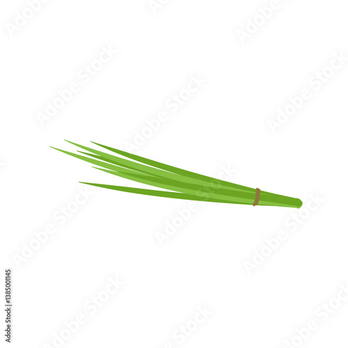 Garlic chives leaf. Healthy vegetarian food. Flat vector illustration.
