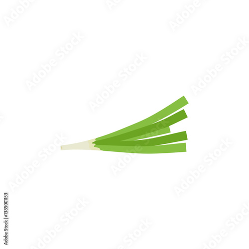 Garlic chives leaf. Healthy vegetarian food. Flat vector illustration.