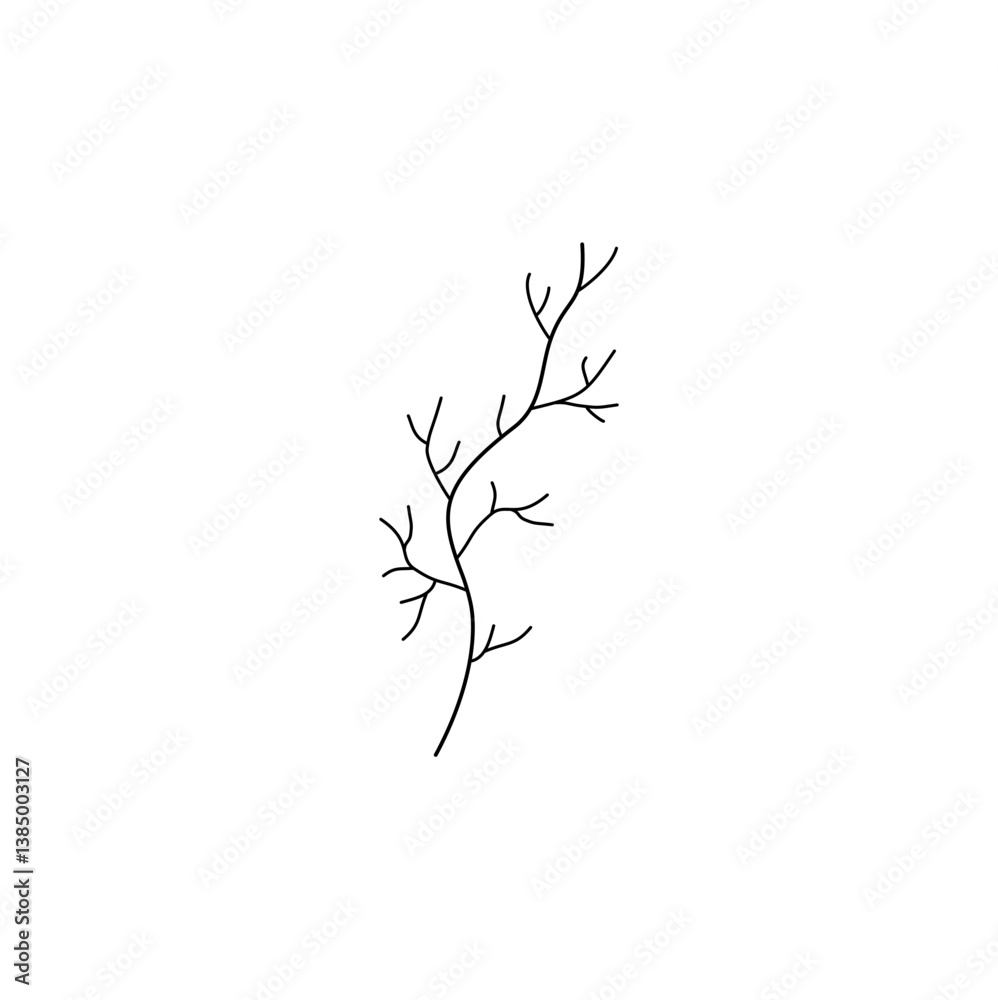 Fototapeta premium branch of a tree