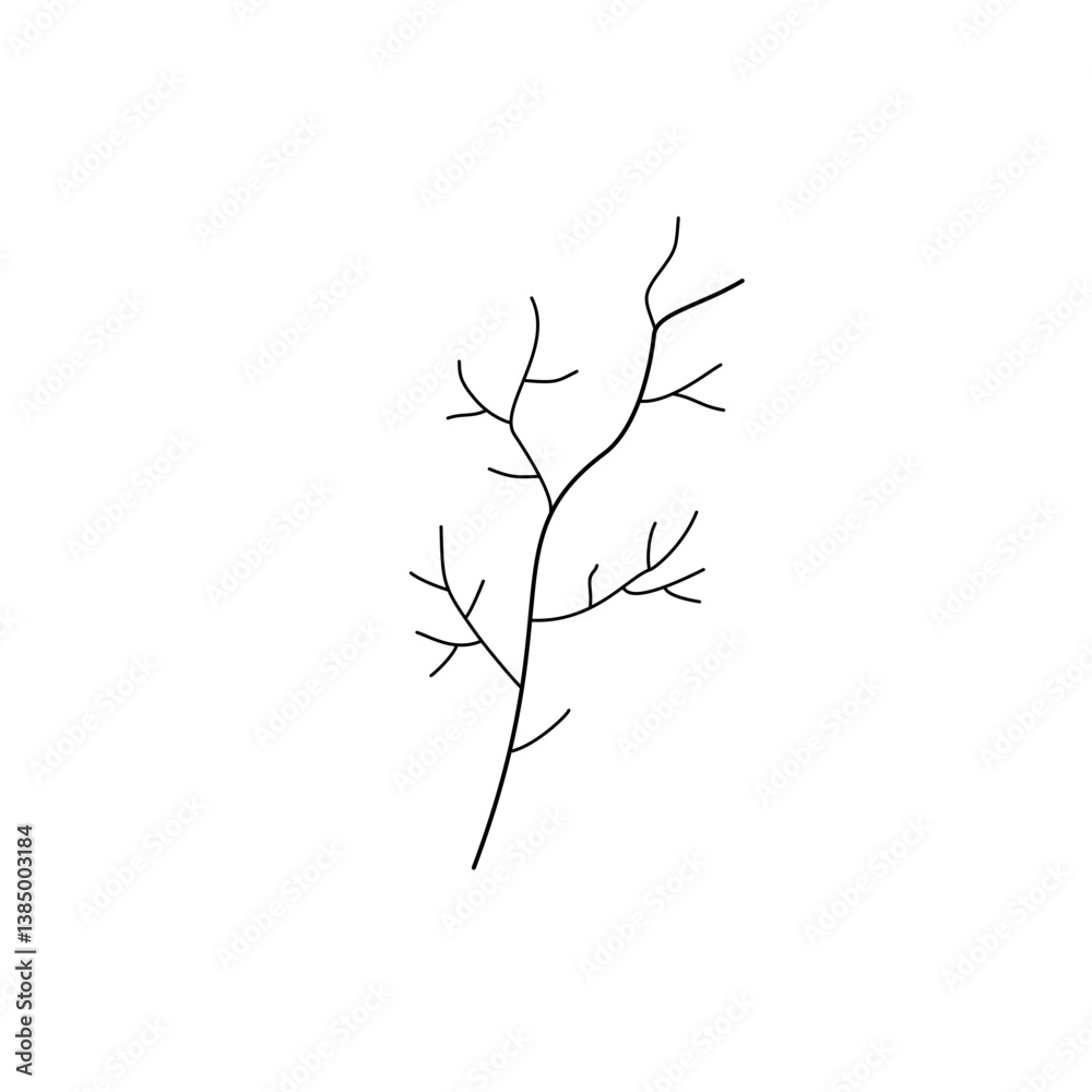 Fototapeta premium branch of a tree