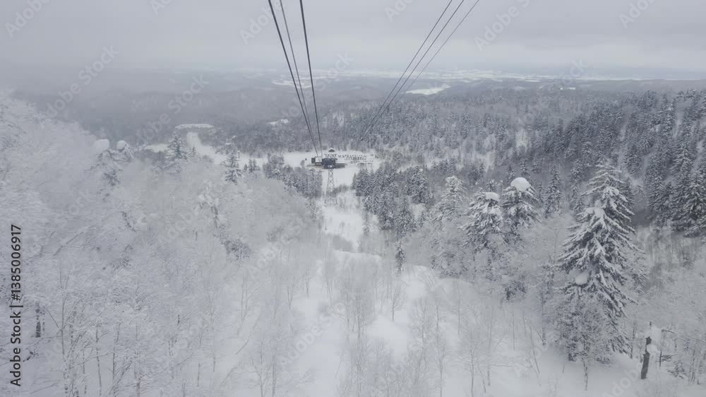 Breathtaking aerial winter view from the Asahidake cable car overlooking the snowy trees and landscape of Hokkaido's highest mountain. Breathtaking aerial winter view from the Asahidake cable car overlooking the snowy trees and landscape of Hokkaido's highest mountain.