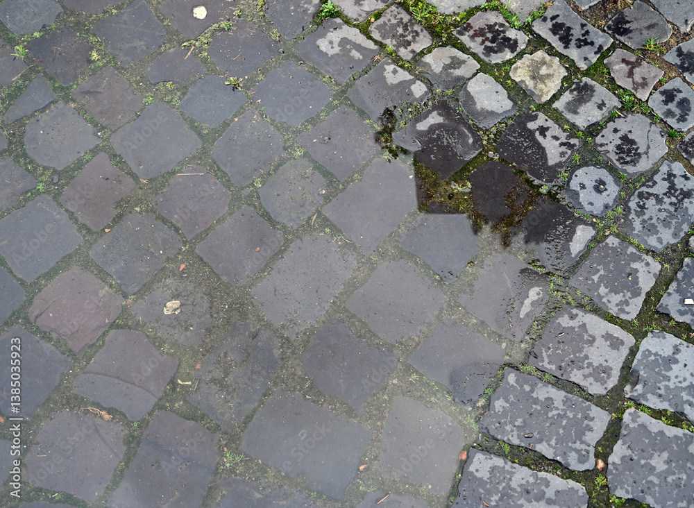 Wet cobblestone street with puddles reflecting surrounding structures after rainfall