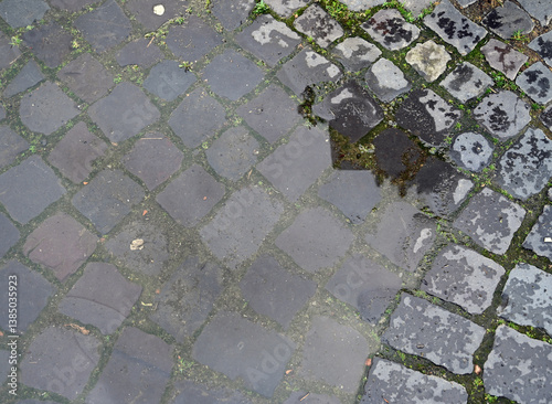 Obraz na płótnie Wet cobblestone street with puddles reflecting surrounding structures after rainfall w salonie