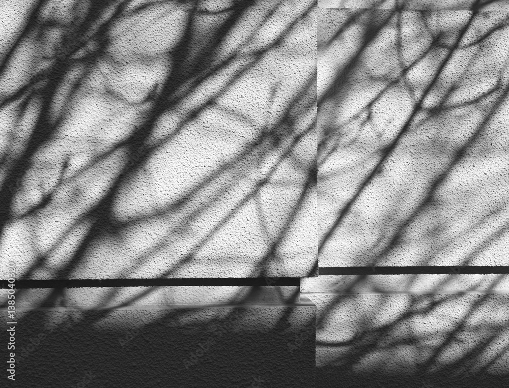 Shadows of branches cast on textured wall during afternoon light