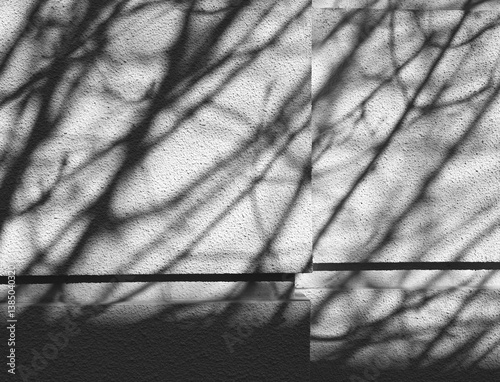 Obraz na płótnie Shadows of branches cast on textured wall during afternoon light w salonie