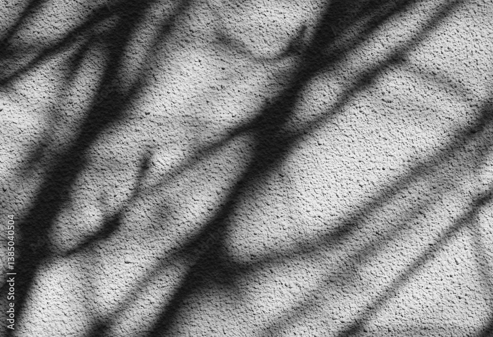 Branches create intricate shadows on a textured wall as afternoon sunlight streams