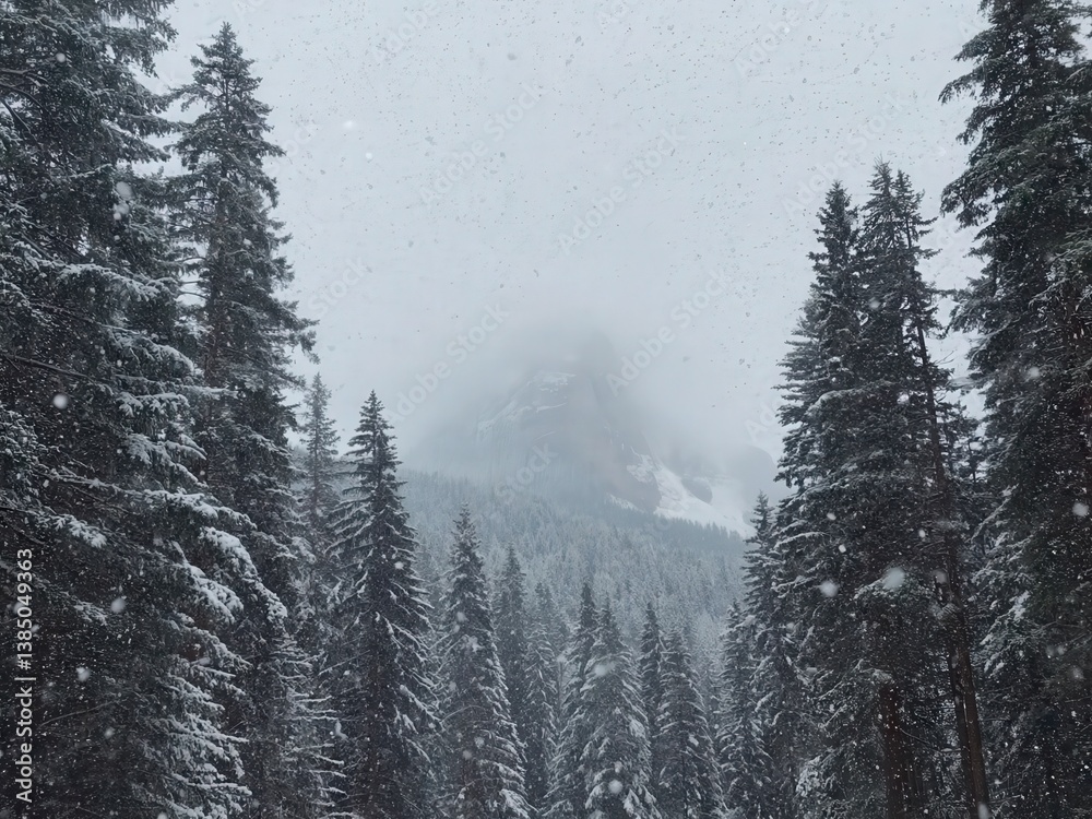 Obraz premium Snowflakes drift softly in a serene pine forest below majestic mountains on a tranquil winter day