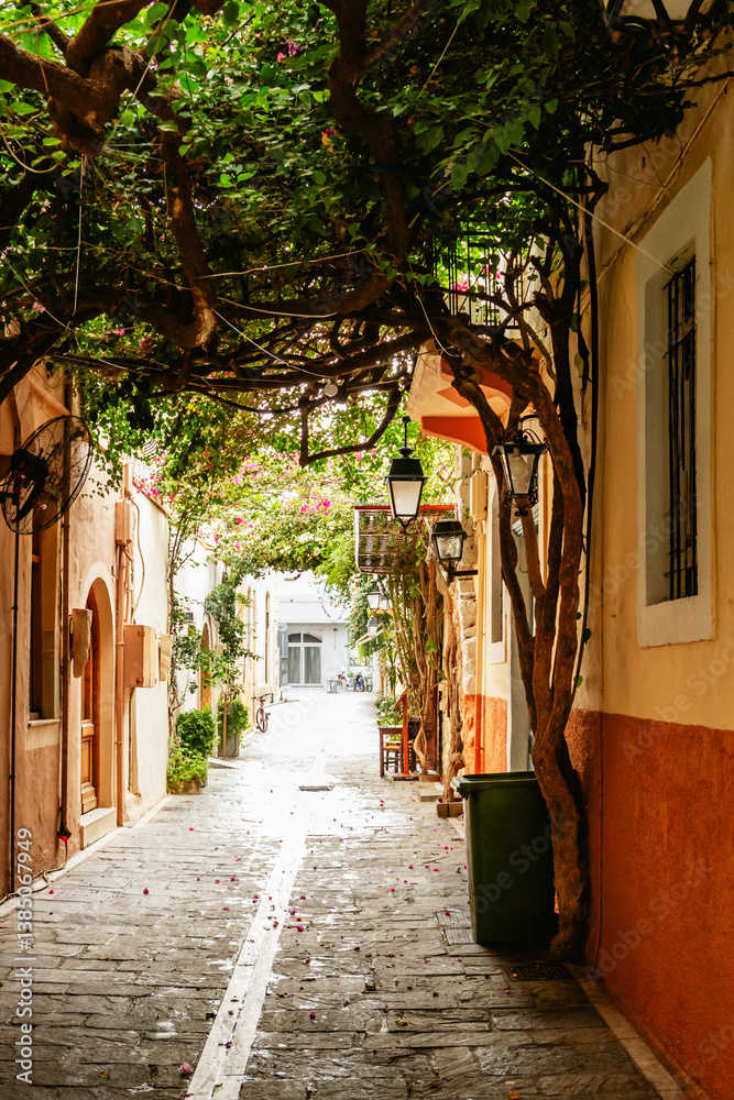 A beautifully picturesque alleyway adorned with vibrant, lush bougainvillea situated in a serene village setting. Rethymno town, Crete island, Greece.