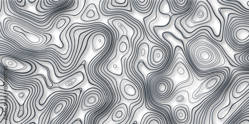 Abstract lines background Topographic map patterns White wave paper curved reliefs abstract background.Vector illustration