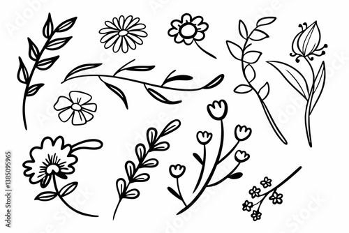 Set of beautiful hand-drawn botanical elements including flowers and leafy branches in black and white, perfect for design projects, illustrations, and creative arts.