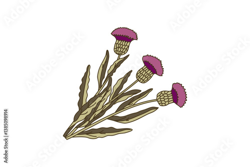Botanical bouquet cornflowers isolated on white background. Hand drawn plants with stems, leaves, flowers vector illustration. Graphic design elements for Birthday Poster Invitation Greeting Card