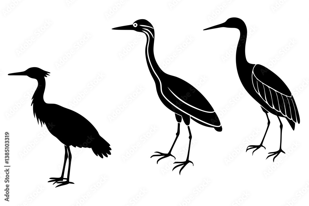 Fototapeta premium set of Striated heron silhouette vector illustration