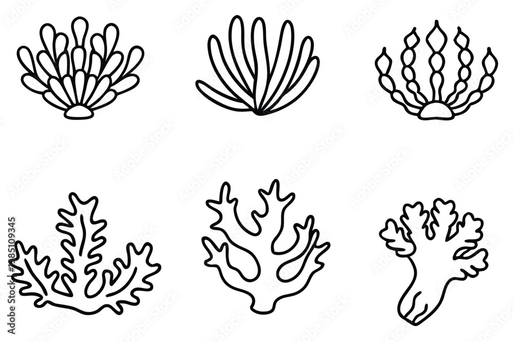 Fototapeta premium Coral Polyps Line Art Detailed Sketch for Underwater Artwork 