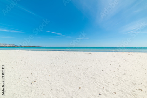 Fototapeta Naklejka Na Ścianę i Meble -  White sand and turquoise water in a beach in Sardinia