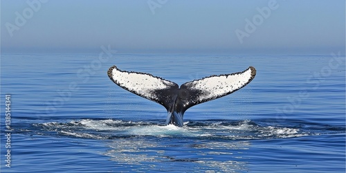a whale breaching the water 
