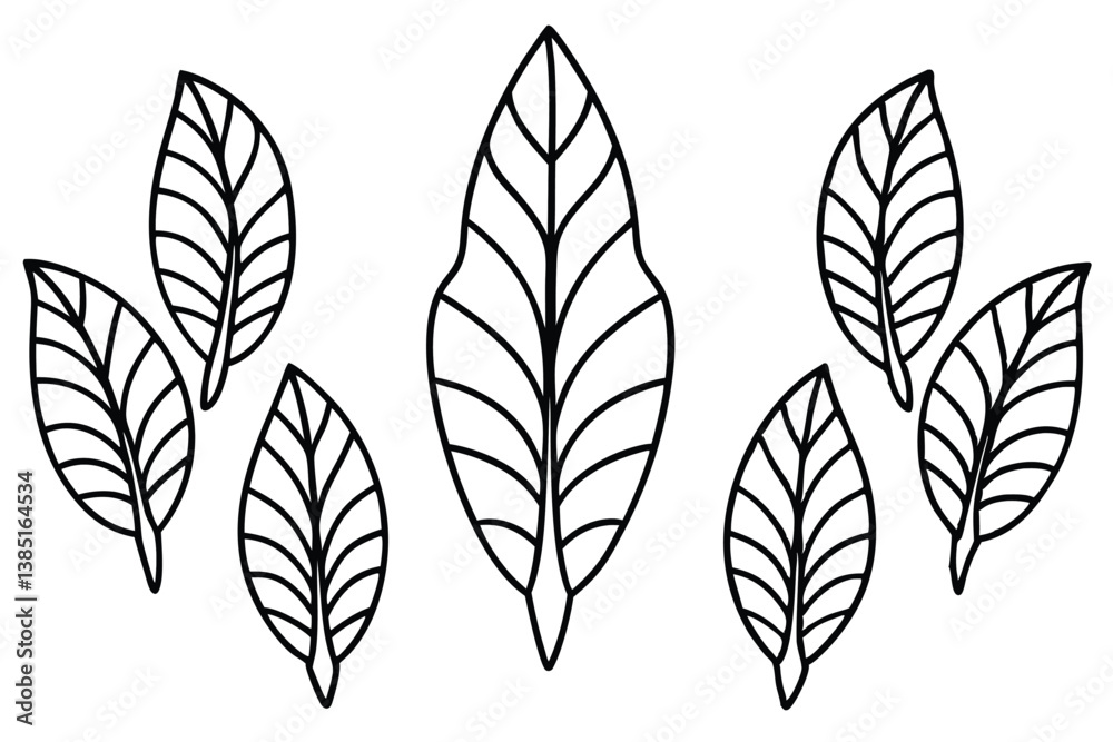 Croton Leaf Line Art Drawing for Nature Inspired Design Projects Croton Leaf Line Art Drawing for Nature Inspired Design Projects