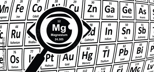 Atomic number 12, Mg Magnesium 24.305 Magnesium chemical element, periodic table elements magnesium. Rare earth element or rare earth metals or rare earths concept. Vector symbol or icon. 