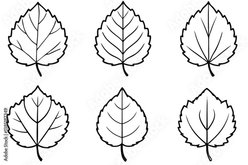 Cottonwood Leaf Line Art Ideal for Minimal Nature Sketch Design