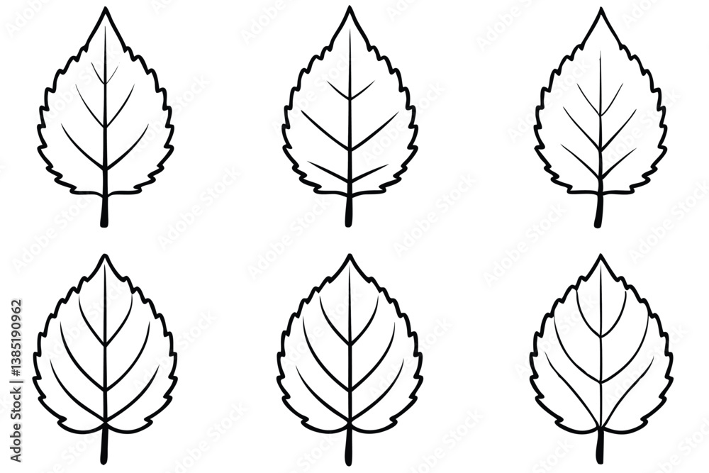 Fototapeta premium Cottonwood Leaf Line Art Illustration for Creative Decorative Design Projects