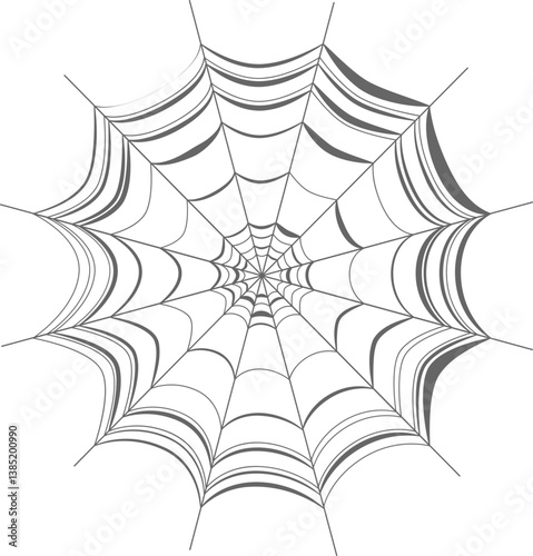 spider web