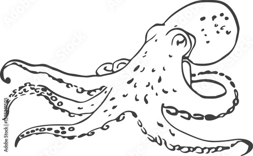 Vector image of an Octopus, hand-drawn