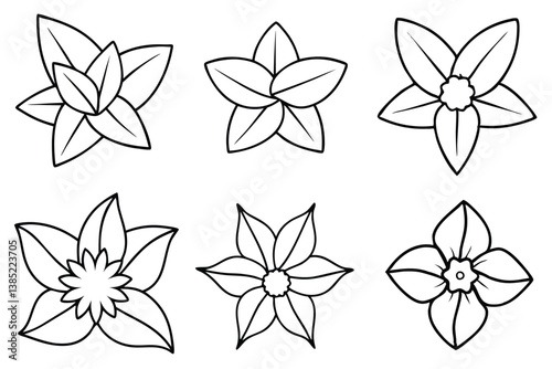 Daffodil Leaf Line Art Elegant Drawing for Floral Illustration Design 