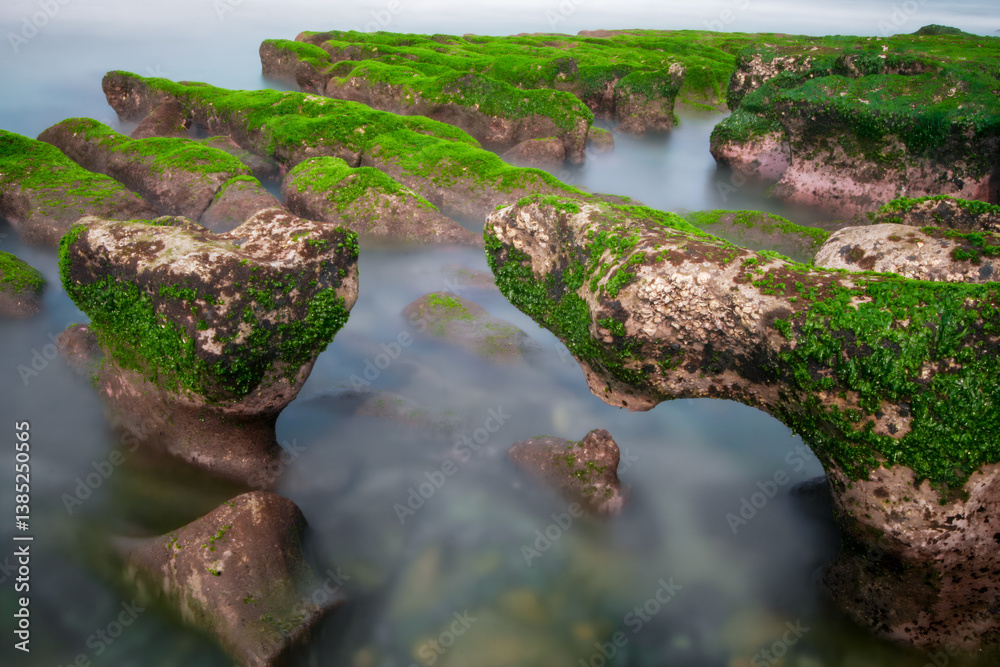 Coastal rocks covered in vibrant green algae at Laomei, Shimen, New Taipei City, Taiwan. A unique natural phenomenon. Coastal rocks covered in vibrant green algae at Laomei, Shimen, New Taipei City, Taiwan. A unique natural phenomenon.