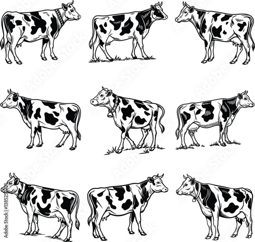 collection of cows,Cows Silhouettes vector icon, vector, farm, cattle, symbol, cow, animal, agriculture, milk, silhouette, design, beef, bull, livestock, black, illustration, meat, mammal, isolat